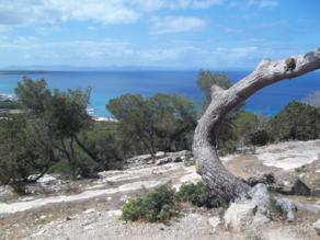 Foto di Formentera