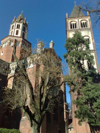 Foto di Vercelli (Basilica di Sant'Andrea)