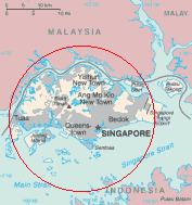 Vai alle note politiche e geografiche di Singapore