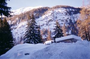 Foto di Champoluc (AO) - panorama invernale