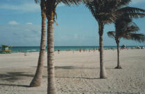 U.S.A., foto di Miami (Miami Beach)