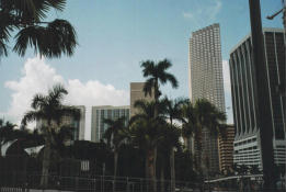 Foto di Miami (Downtown Miami)