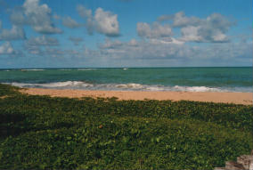 Foto di Praia de Guaxuma